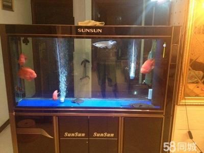 sunsun鱼缸使用说明：关于森森（sunsun）鱼缸的使用说明 森森鱼缸 第1张