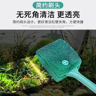 玻璃鱼缸清洗妙招：洗清洗玻璃鱼缸时，有几种有效的方法可以帮助你轻松清洁鱼缸 鱼缸百科 第3张