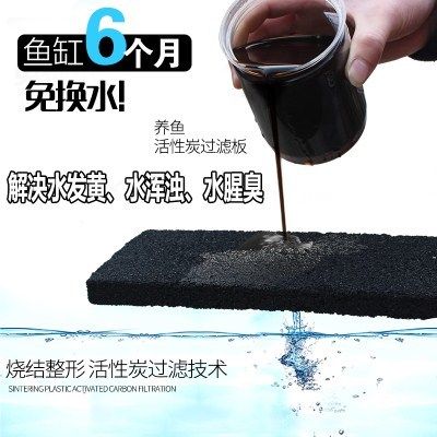 大鱼缸不换水怎么日常维护：大鱼缸不换水的日常维护需要综合考虑多个方面的因素 鱼缸百科 第4张