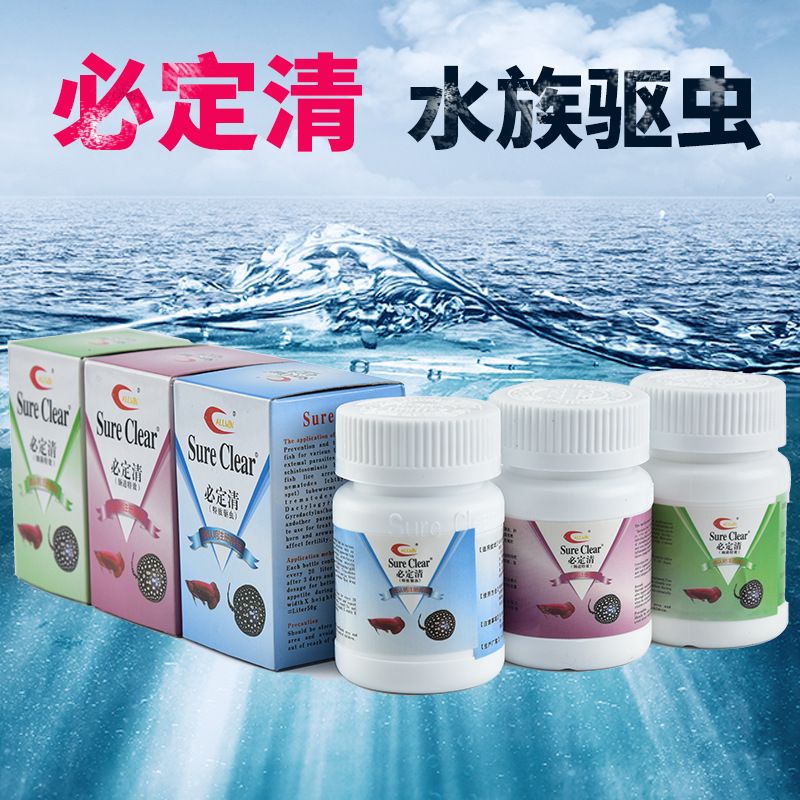 魟鱼用大白片怎么检疫：魟鱼检疫使用大白片的方法 魟鱼百科 第3张