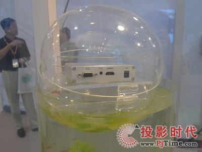 大缸改造鱼缸视频播放器：大缸改造鱼缸全过程 鱼缸百科 第1张