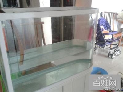 玻璃鱼缸漏水怎么办？：如何处理玻璃鱼缸漏水？ 鱼缸百科 第2张