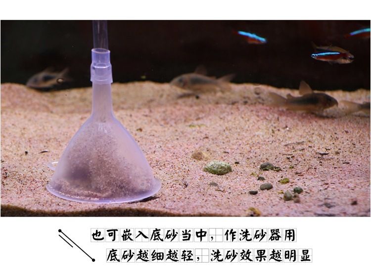 大鱼缸怎么清理沙子视频：如何清洗鱼缸底沙？ 鱼缸 第1张