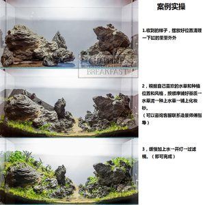 不用草缸还可以怎么给鱼缸造景：不用水草泥和化妆沙进行鱼缸造景的方法