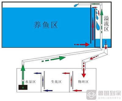 成品底滤鱼缸工作原理：底滤鱼缸的工作原理 鱼缸百科 第3张