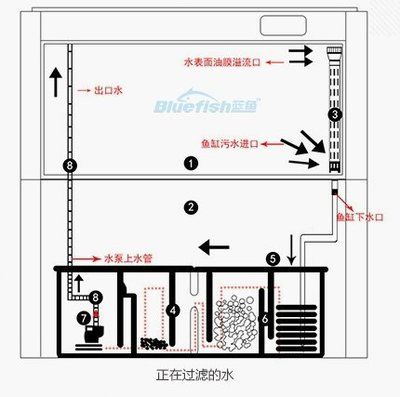 侧过滤鱼缸原理：侧过滤鱼缸原理详解