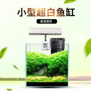 斗鱼缸造景 好不好养活：斗鱼缸造景可以养活吗 鱼缸百科 第3张