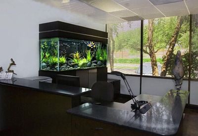 办公室鱼缸放置位置的风水：办公室鱼缸摆放风水禁忌 鱼缸 第4张