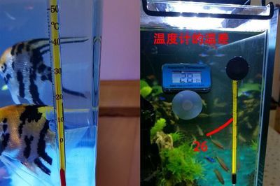 森森鱼缸水温传感器怎样安装 森森鱼缸