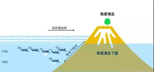 魟鱼水流大适应吗：魟鱼水流大适应吗[需手动填充][需手动填充]鱼水流大适应吗 魟鱼百科 第1张