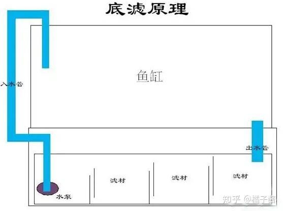 大鱼缸清理水泵水管多少钱一个：大鱼缸清理水泵水管价格因品牌、功能等因素而异