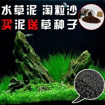 冬季鱼缸水草培植：冬季鱼缸水草的培植注意事项 鱼缸百科 第4张