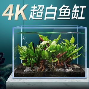 斗鱼缸造景30缸好不好呢：30缸斗鱼缸养护与管理养护与管理养护与管理养护 鱼缸百科 第4张