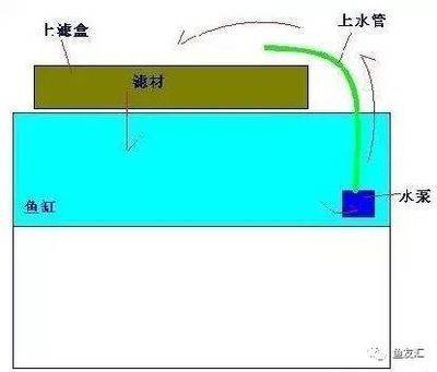 安彩鱼缸过滤器怎么用的视频：关于安彩鱼缸过滤器的使用方法和使用方法的视频教程