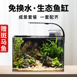 冬天鱼缸如何换水：冬天鱼缸换水需要注意水温和温差 鱼缸百科 第3张