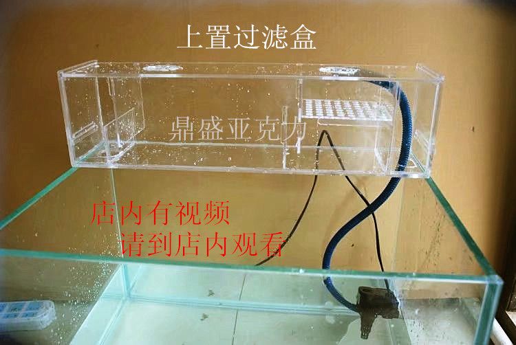 不用电的鱼缸过滤器怎么用：自制鱼缸过滤器的使用方法 鱼缸 第1张