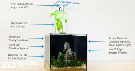 打造鱼缸生态圈的意义：打造生态鱼缸的意义 鱼缸 第3张