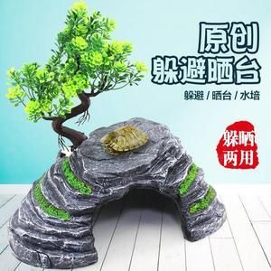 扁平鱼缸造景：扁平鱼缸造景设计 鱼缸百科 第3张