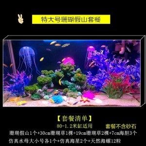 大鱼缸放什么水草好：几种适合大鱼缸的水草 鱼缸 第1张