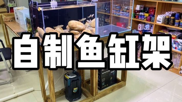 镀锌管做鱼缸架子可以吗：镀锌管可以用来做鱼缸架子吗？ 鱼缸百科 第1张