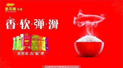 金龙鱼头朝下飘着怎么回事：金龙鱼头朝下飘着可能是由于多种原因引起的，需谨慎对待 龙鱼百科