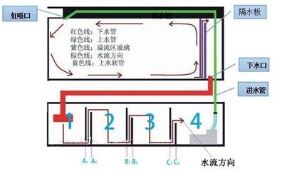 侧滤鱼缸滤材摆放顺序：侧滤鱼缸滤材摆放顺序详解