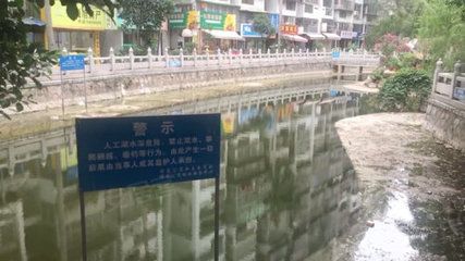 古龙鱼场：\