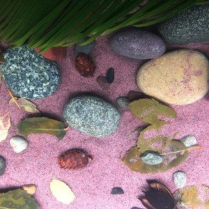 鹅卵石造景鱼缸