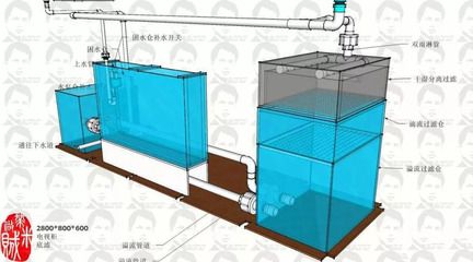 瓷砖鱼缸设计图纸：瓷砖鱼缸的设计 鱼缸百科 第1张