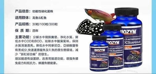 魟鱼土霉素：土霉素可以用于治疗魟鱼的肠炎等细菌性疾病使用方法 魟鱼百科 第1张