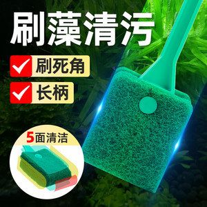 擦鱼缸专用工具：如何选择鱼缸清洁工具 鱼缸百科 第3张