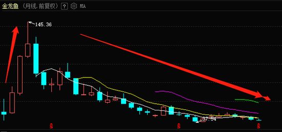 金龙鱼实时股价：5月5日金龙鱼实时股价 龙鱼百科 第3张