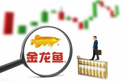 金龙鱼实时股价：5月5日金龙鱼实时股价 龙鱼百科 第2张