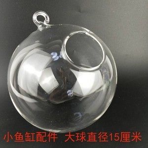 茶色玻璃鱼缸养鱼：茶色玻璃鱼缸养鱼的注意事项 鱼缸百科 第3张