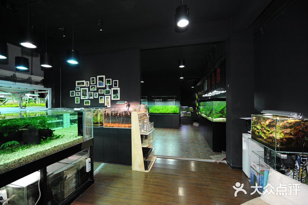 单县哪里有卖鱼缸的店子啊：单县鱼多多渔具店 鱼缸百科 第2张