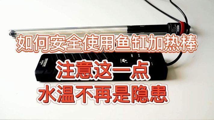 不锈钢鱼缸加热棒危险吗：不锈钢鱼缸加热棒的使用方法 鱼缸百科 第4张