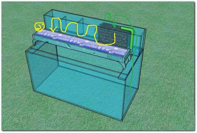 大桶水做鱼缸过滤器：diy鱼缸过滤器的种类和工作原理 鱼缸百科 第4张