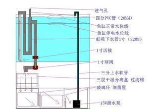 PVC水管制作鱼缸：pvc水管制作鱼缸的方法 鱼缸百科 第4张