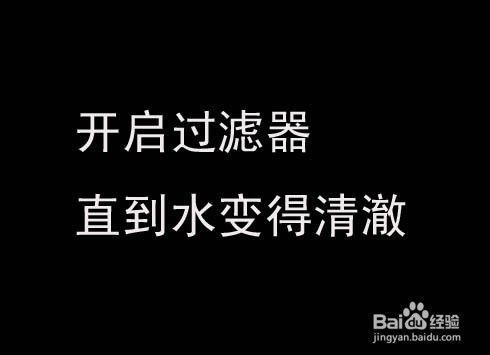 玻璃鱼缸怎么清理：如何清理玻璃鱼缸 鱼缸百科 第3张