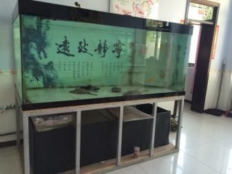 1米8长60厘米宽鱼缸多重：一个长1米8宽60厘米的鱼缸，其重量可能会有所不同