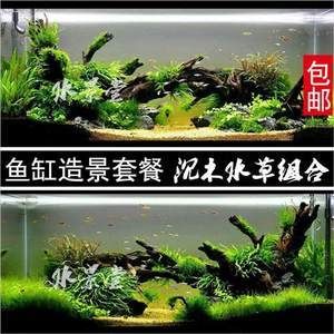 不种水草鱼缸怎样造景：不种水草的鱼缸怎么造景？ 鱼缸百科 第1张