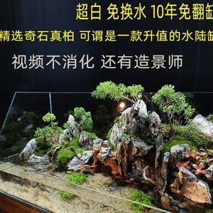 成品鱼缸改水陆缸怎么改：成品鱼缸改水陆缸步骤 鱼缸百科 第3张