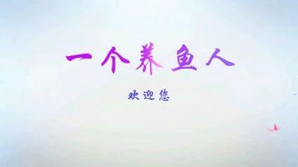 龙鱼的作文怎么写300字以上：关于龙鱼的作文300字以上，龙鱼的作文300字以上