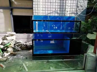 大洋水族鱼缸安装：大洋水族鱼缸安装步骤和注意事项