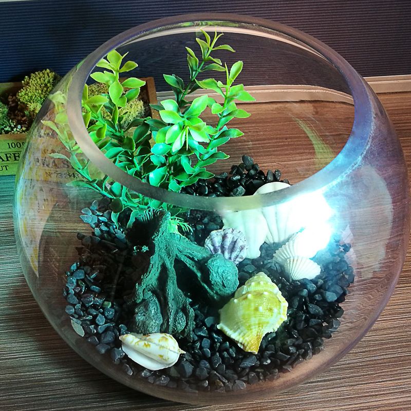 玻璃圆形鱼缸怎么造景：玻璃圆形鱼缸造景技巧鱼缸造景技巧鱼缸造景技巧 鱼缸 第1张