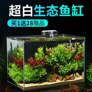 玻璃鱼缸造景微生物：玻璃鱼缸造景中的微生物 鱼缸百科 第1张