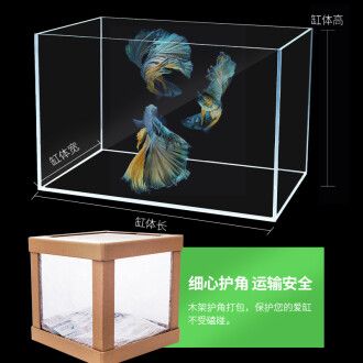 超白玻璃小鱼缸好不好：超白玻璃小鱼缸优缺点分析 鱼缸 第1张