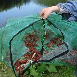 龙鱼喂鲜虾还是冻虾好：喂食鲜虾还是冻虾给龙鱼时，我们需要考虑几个关键因素 龙鱼百科