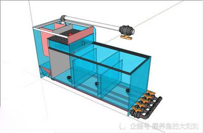 成品鱼缸过滤系统结构图：底滤鱼缸工作原理 鱼缸百科 第1张