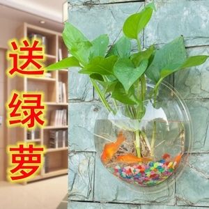 带我去鱼缸咖啡店英语怎么说：\takemetothefish